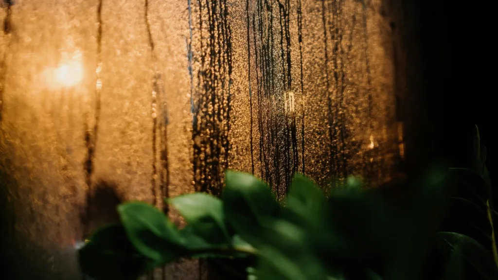 Feuchtigkeit an einem Fenster