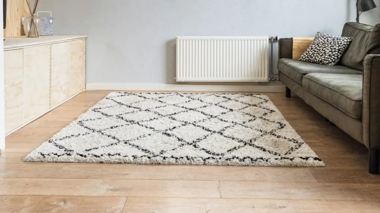 Waschsauger erklärt – wie Kombigeräte Teppiche, Polster und Böden reinigen