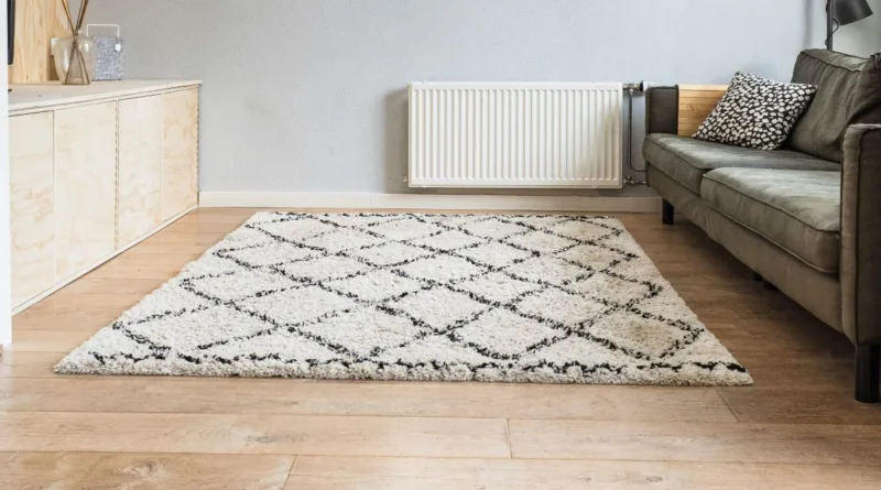 Fliesen, ein Teppich und Polstermöbel als Reinigungsziele