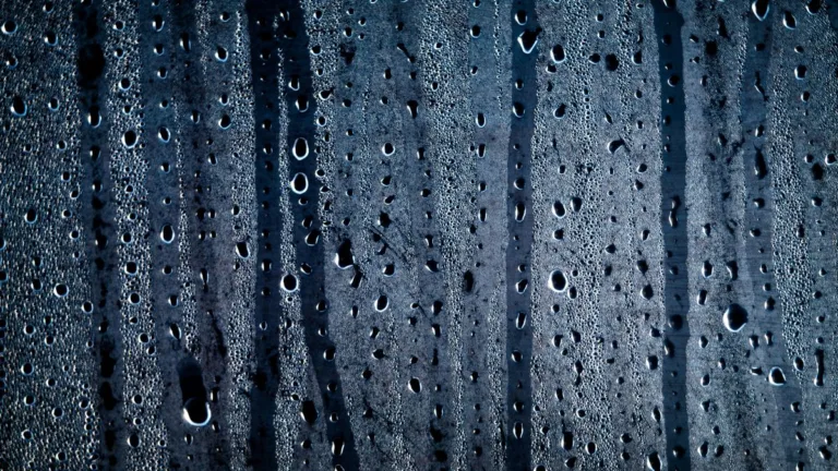 Feuchtigkeit in Wohnungen verstehen – Ursachen, Folgen und passende Geräte