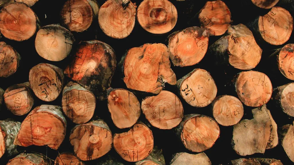 ein Stapel Baumstämme seitlich fotografiert