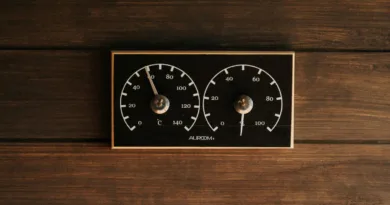 ein Meßinstrument für Temperatut und Feuchtigkeit an einer Holzwand