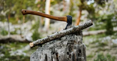 ein Beil steckt in einem Baumstumpf mitten im Wald