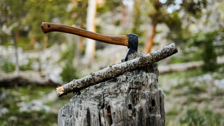 Akku-Kettensägen erklärt – Leistung, Laufzeit und Systemunterschiede