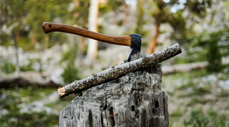 ein Beil steckt in einem Baumstumpf mitten im Wald