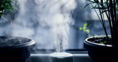 Ultraschall-Luftbefeuchter – Technik, Unterschiede und Grenzen verständlich erklärt ein Ultraschall Luftbefeuchter steht zwischen zwei Pflanzen