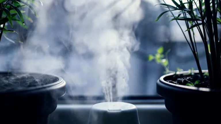 Ultraschall-Luftbefeuchter – Technik, Unterschiede und Grenzen verständlich erklärt