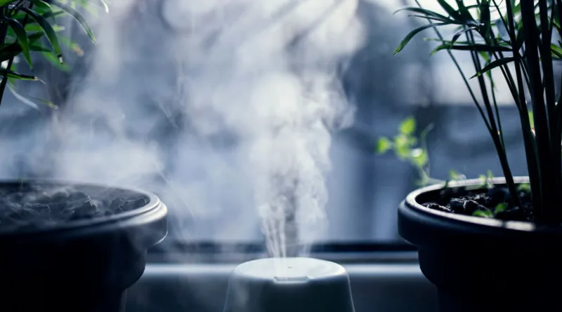 ein Ultraschall Luftbefeuchter steht zwischen zwei Pflanzen