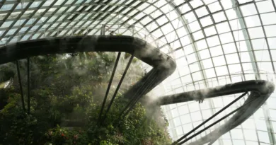 Wie feucht ist es wirklich? Hygrometer für Wohnräume verständlich erklärt ein Baumkronenpfad in einem tropischen Gewächshaus mit viel Luftfeuchtigkeit