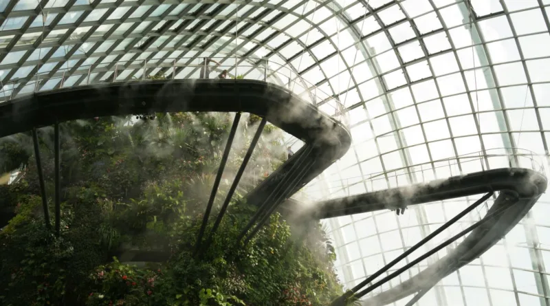 ein Baumkronenpfad in einem tropischen Gewächshaus mit viel Luftfeuchtigkeit