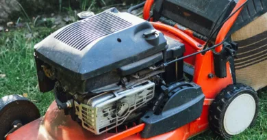 Benzin-Rasenmäher kaufen – Welche Größe brauchst du wirklich? der Motorblock eines Benzin-Rasenmähers in der Nahaufnahme