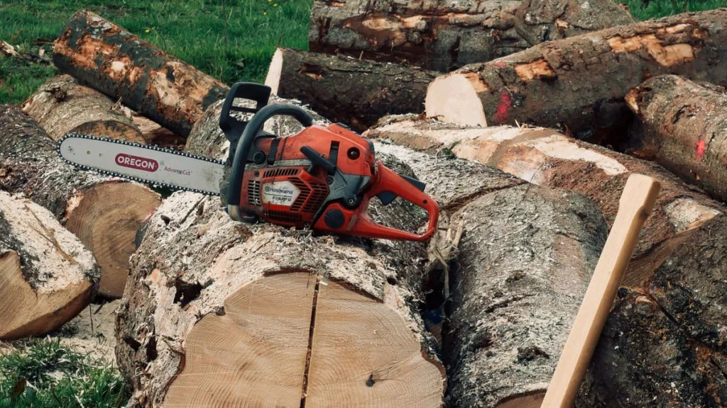 eine Benzin-Kettensäge liegt auf einem Baumstammstapel