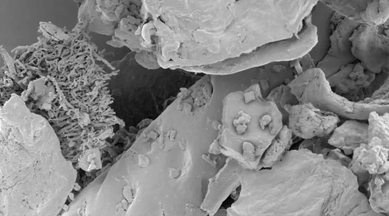 Nahaufnahme eines Elektronenmikrospkop