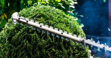 eine Heckenschere im Einsatz in der Nahaufnahme