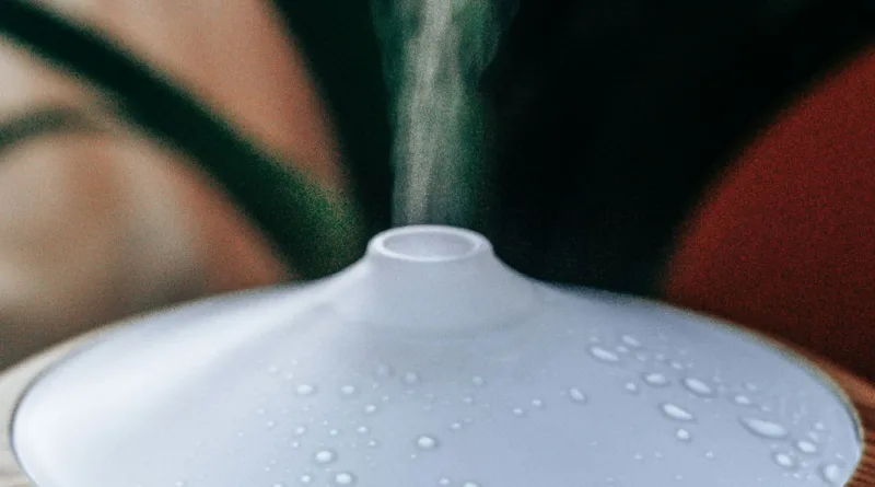 Wasserdampf steigt aus einem Luftbefeuchter auf