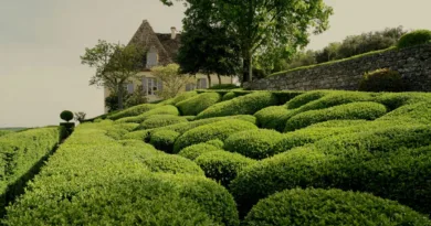ein haus hinter einer Wunderschön geschnittenen Hecke