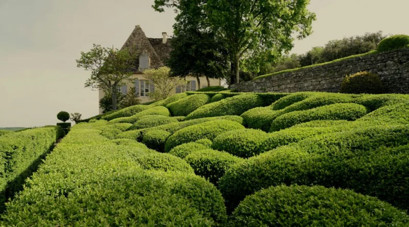 ein haus hinter einer Wunderschön geschnittenen Hecke