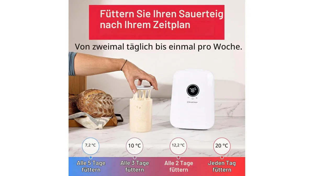 Brod & Taylor Klimaschrank Sourdough Home, kompaktes Innenfach mit Startergläsern – weitere Produktansicht 3